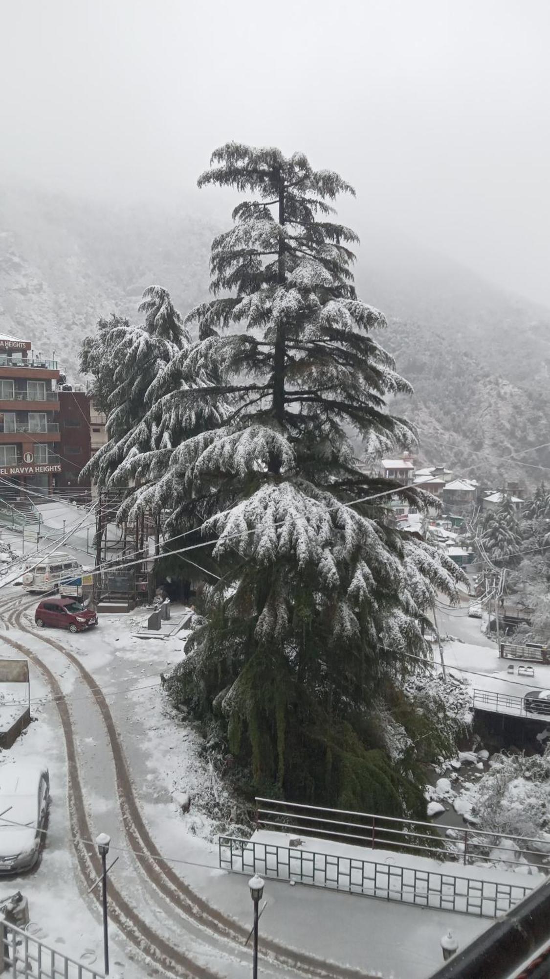 Moonlight Ridge Apartamento McLeod Ganj Exterior foto